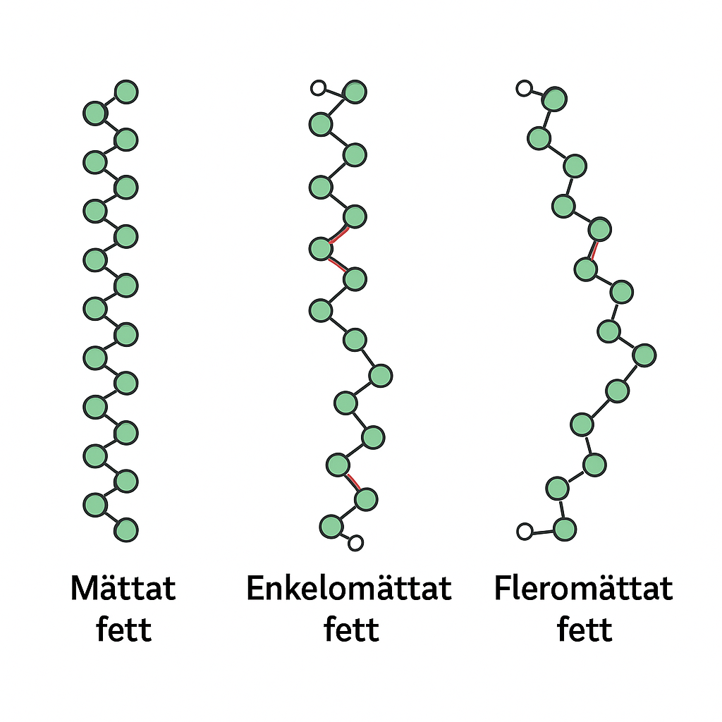 Olika typer av fettsyror